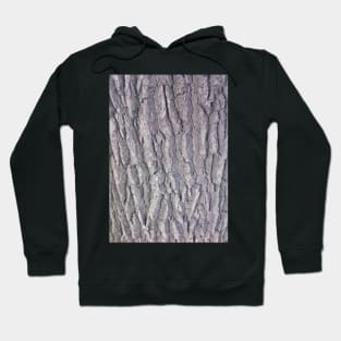 Texture - Tree bark Hoodie